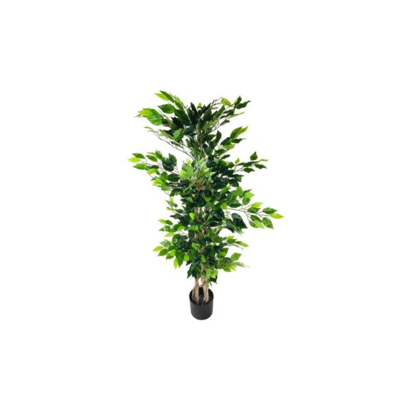 Artificial Ficus Tree With Natural Trunk