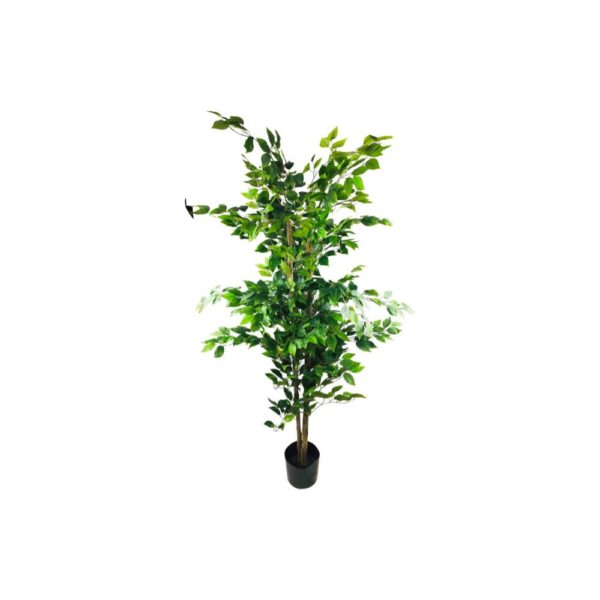 Artificial Ficus Tree With Natural Trunk – Large