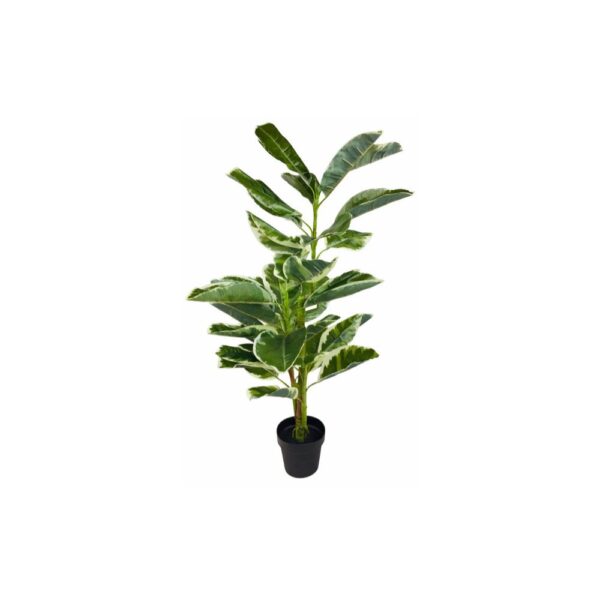 Artificial Large Rubber Ficus